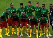 开云体育-非洲杯小组赛尼日利亚队胜喀麦隆队