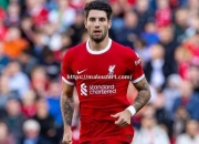 开云体育-利物浦夺冠轨迹走势良好主帅对冠军抱有信心