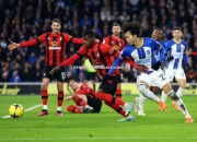 开云体育-布莱顿-战平埃弗顿，争夺下一场胜利